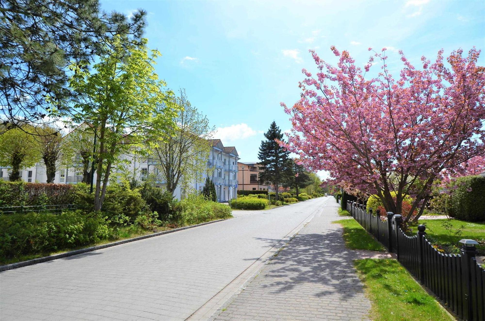 Ferienwohnung 300 Meter Zur Ostsee Graal-Mueritz Ngoại thất bức ảnh